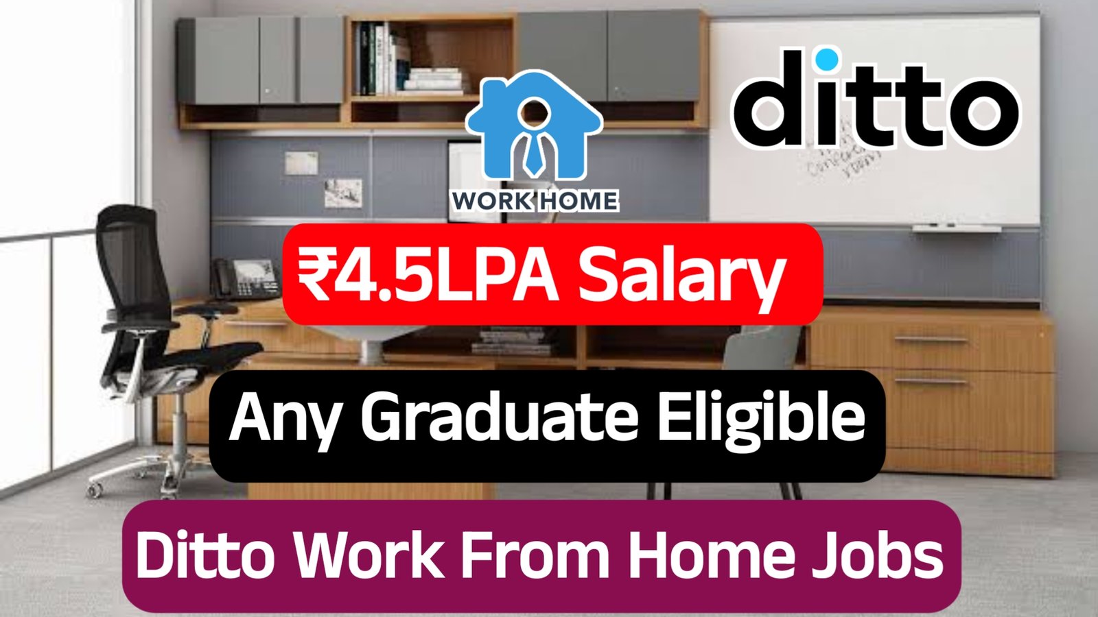 Ditto Work From Home Jobs 2024 Latest Jobs For Freshers 2024 Ditto