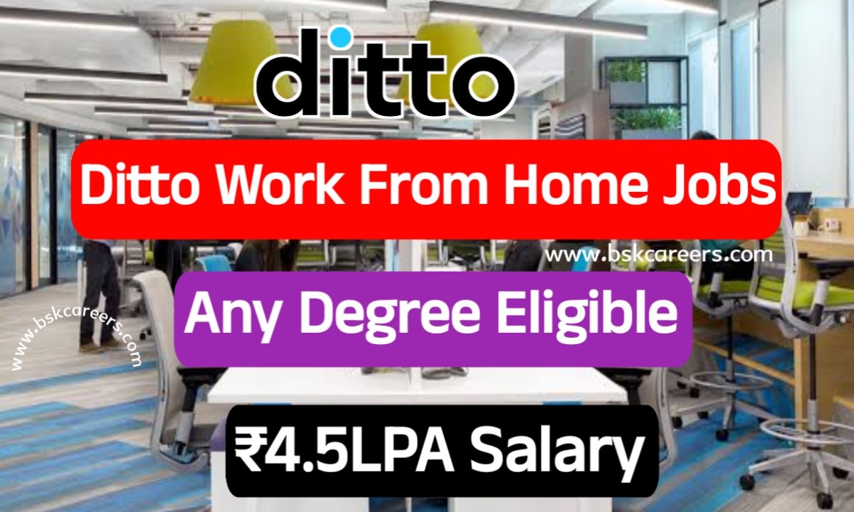 Ditto Work From Home Jobs 2024 Latest Jobs For Freshers 2024 Ditto